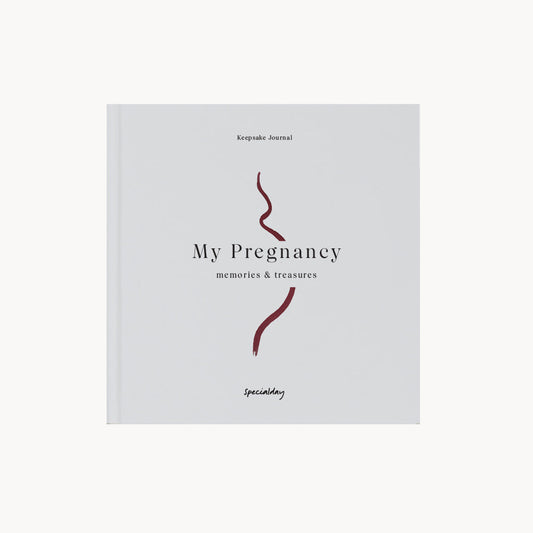 my pregnancy  –  memories & treasures