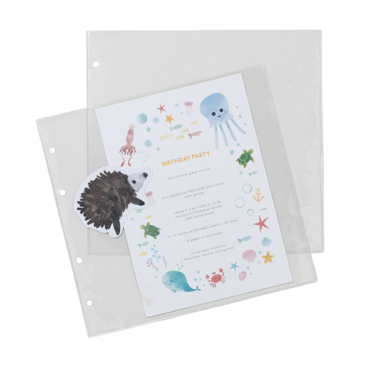accessories for baby journal with ring binder