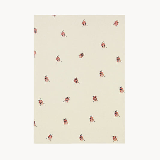 greeting card – ladybugs